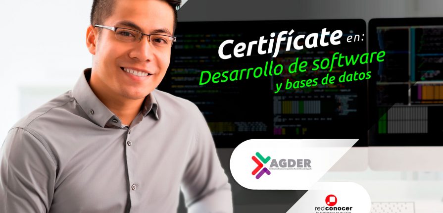 AGDER Estándar de competencia - Software