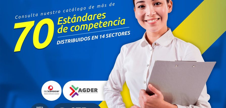 70 Estándares de competencia